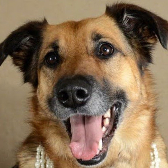 Meet your Posher, S - Picture 1 of 1